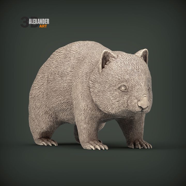 3D Printable Wombat by Alexander3dart
